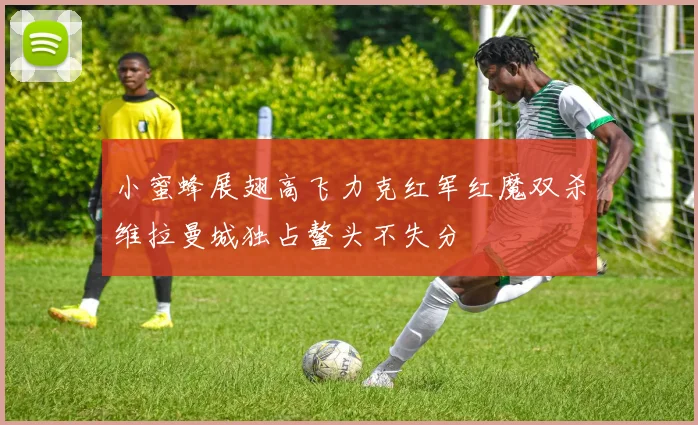 小蜜蜂展翅高飞力克红军红魔双杀维拉曼城独占鳌头不失分