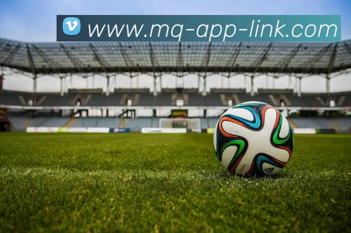 买球app平台生态图