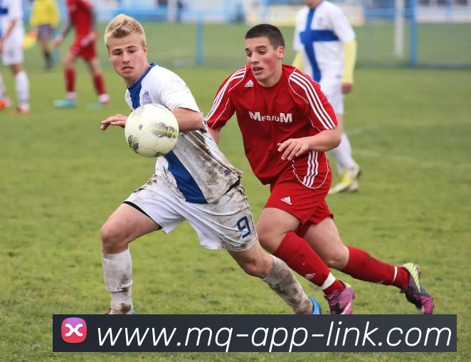 数据防护可视化